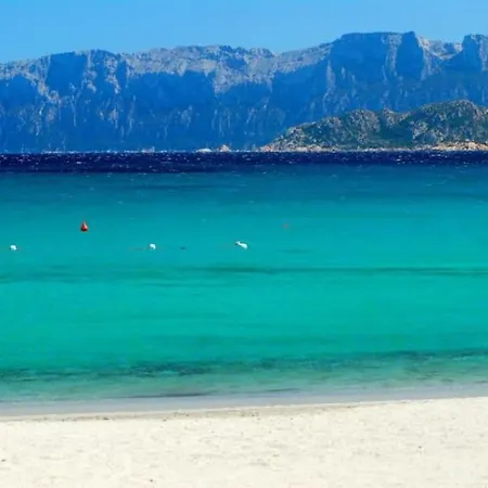 Sardegna Casa A 250 Metri Dal Mare Con Piscina * 奧爾比亞