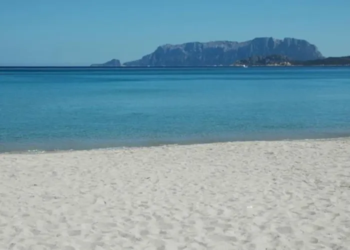 Apartamento Sardegna Casa A 250 Metri Dal Mare Con Piscina